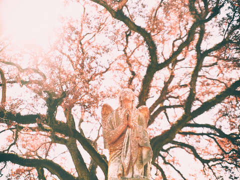 Pink prayers