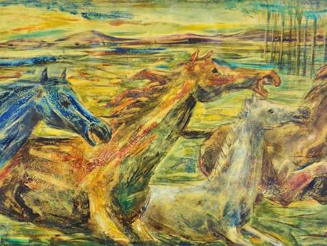 Wild horses 3