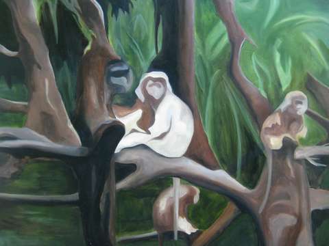 Jungle