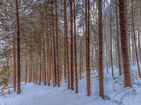Retzer winter blanet