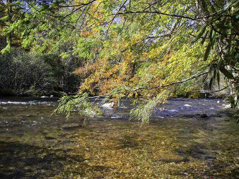 Fall on the river