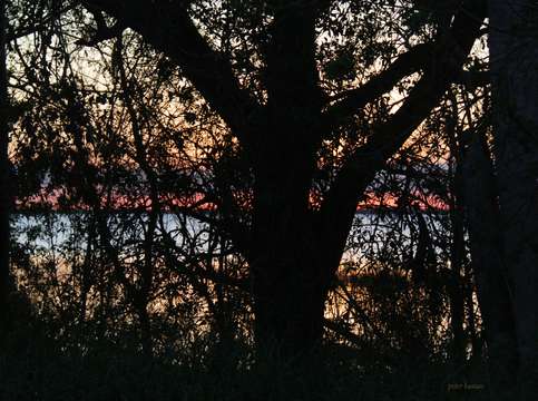 Sunset 17