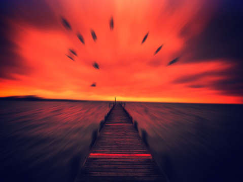 Race to the sun