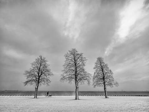 Winter stroll bw