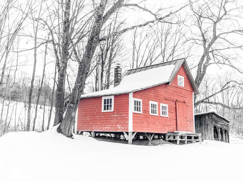 Old cabin in the woods winter
