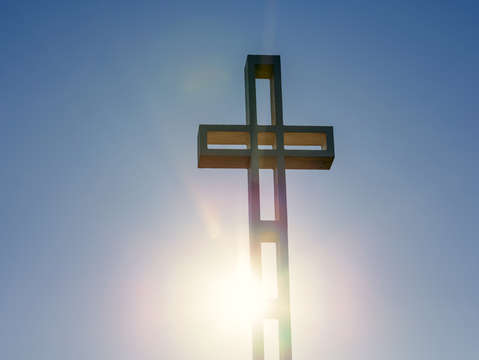 In the light