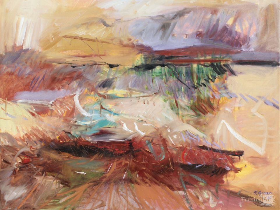 Afternoon in the desert