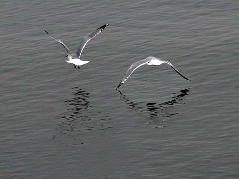 Out of sync