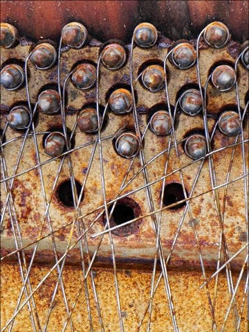 Elemetal ii