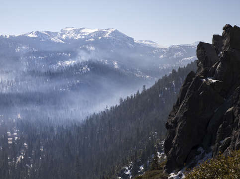 Morning fog 3