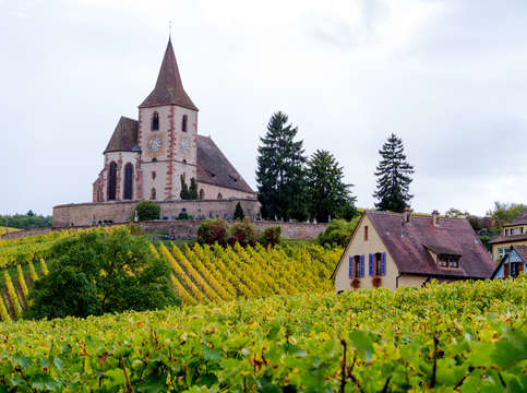 Alsace france countryside