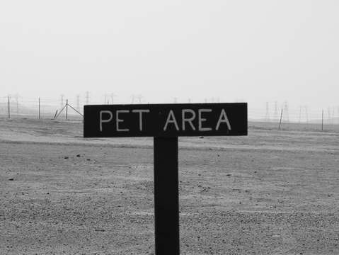 Pet area