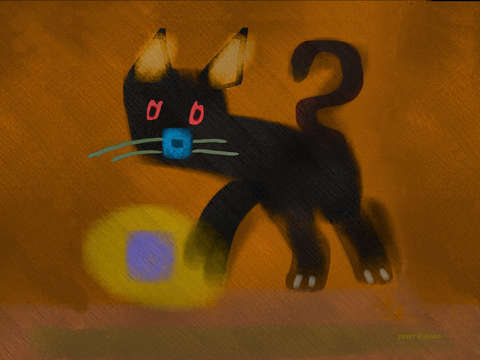 The cat