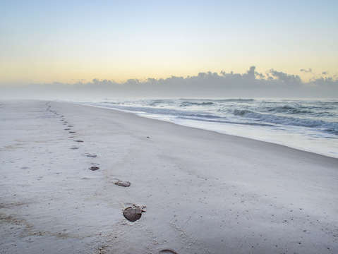 Foot prints on a foggy beach dsc 1001