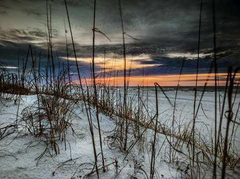 Beach grasses in the sunrise dsc 0915