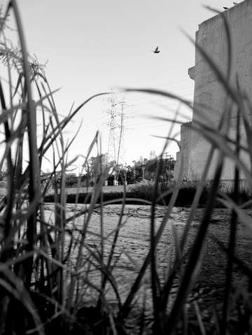 Los angeles river