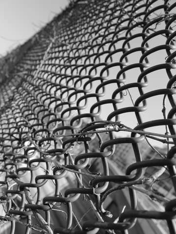 Fenced in 2
