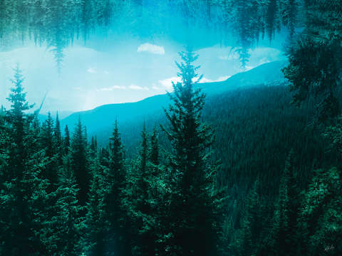 Diamond lake ii 2