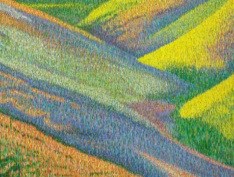Flowerfield 8