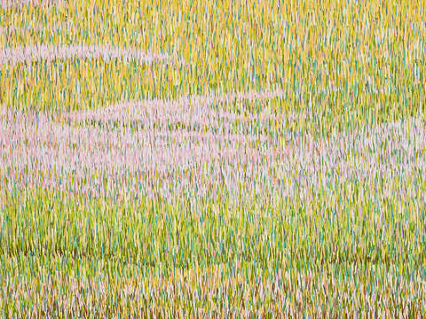 Flowerfield 9