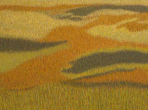 Grassland 27
