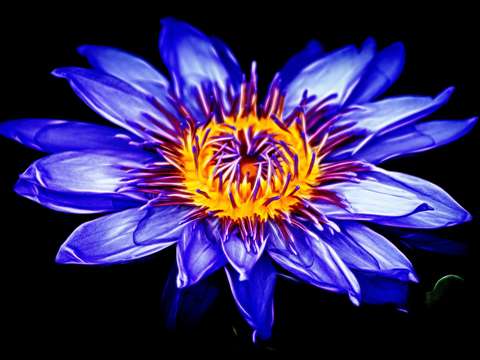 Rhapsody in blue 3