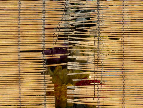 Wooden blinds 1