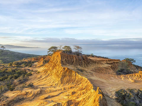 Broken hill beauty