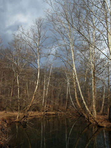 Mirror water way 2