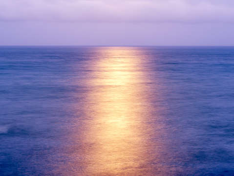 Left out the moon
