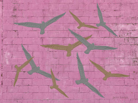 Pink wall 1