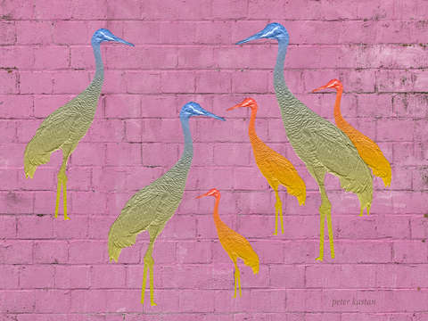 Pink wall 4