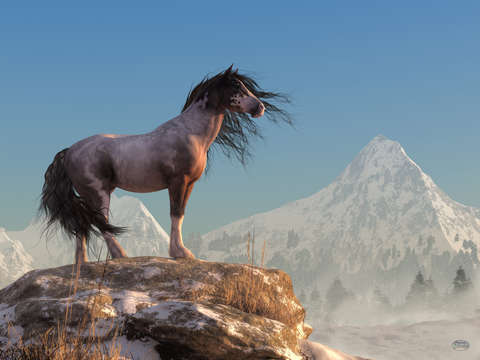 Mustang