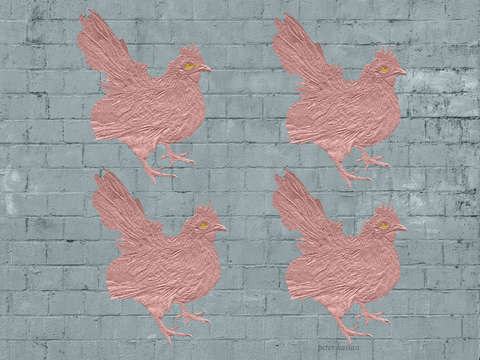 Chicken1