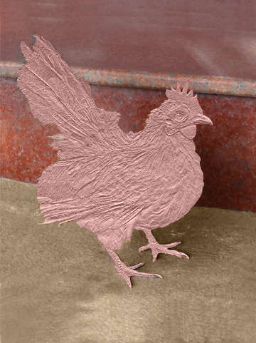 Chicken2