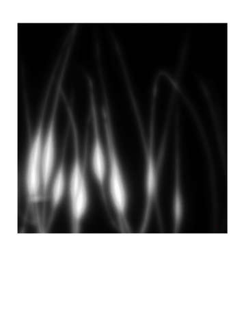 Flame black white 5026