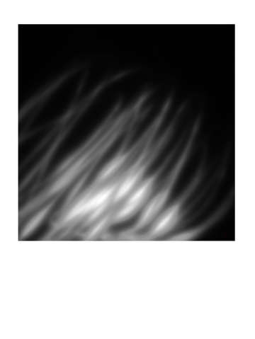 Flame black white 5028