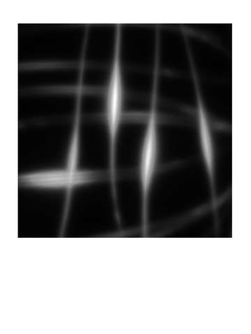 Lattice black white 5035