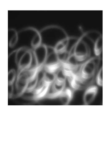 Twirl black white 5030