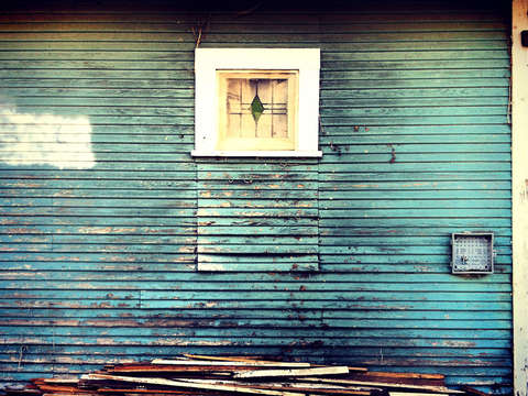 The alley cat blues