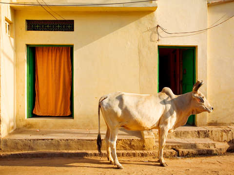 India color 2 2
