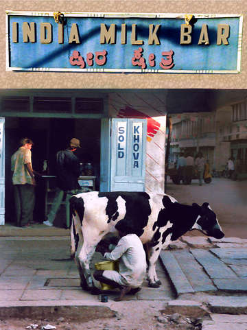 Milk bar