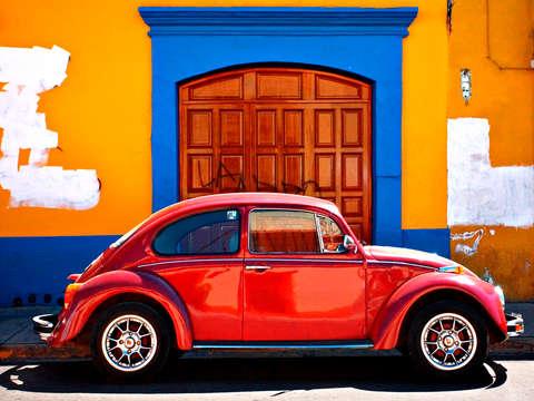 Oaxacan bug experiment 1