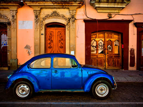 Oaxacan bug experiment 1 2