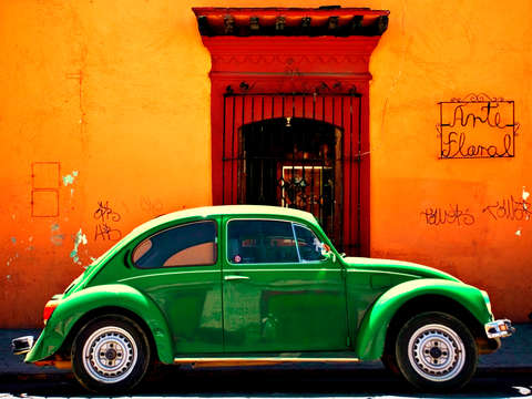 Oaxacan bug experiment 3