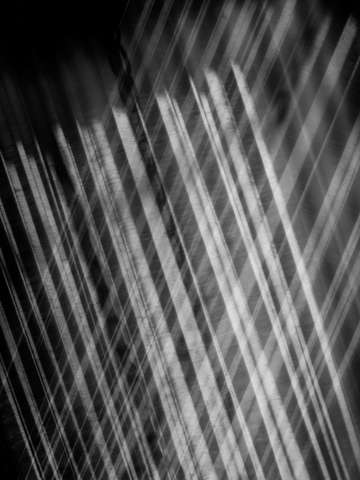 Sapience