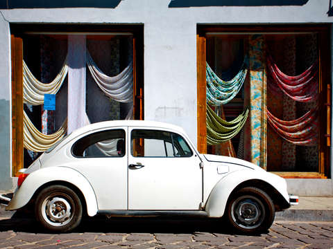 Oaxacan bug experiment 4