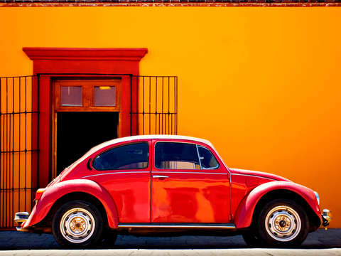 Oaxacan bug experiment 5