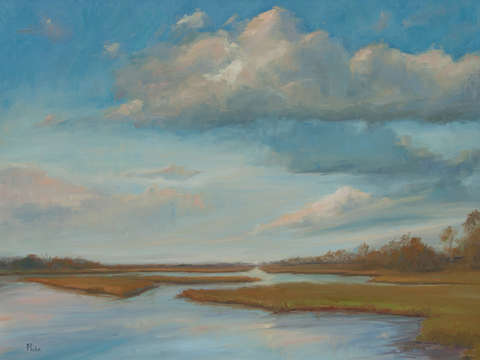 Zeeks creek marsh
