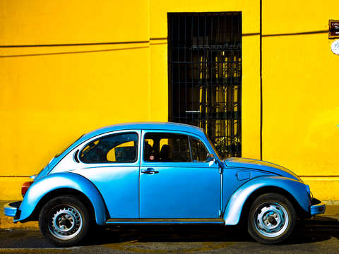 Oaxacan bug experiment 6